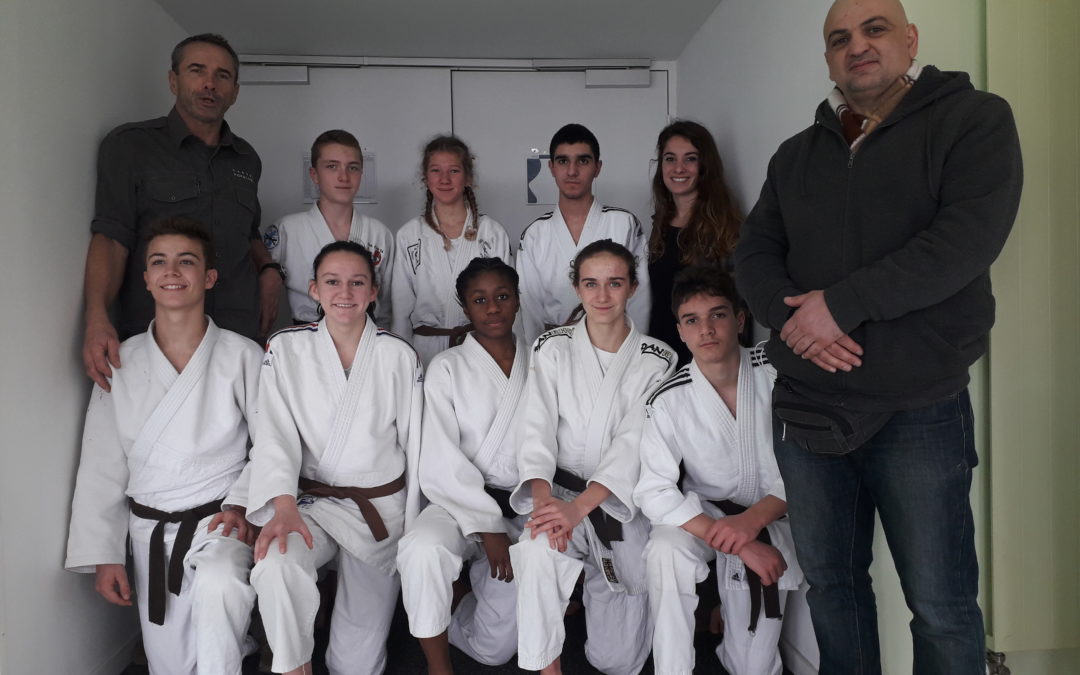 Onze podiums pour le Judo Club 56